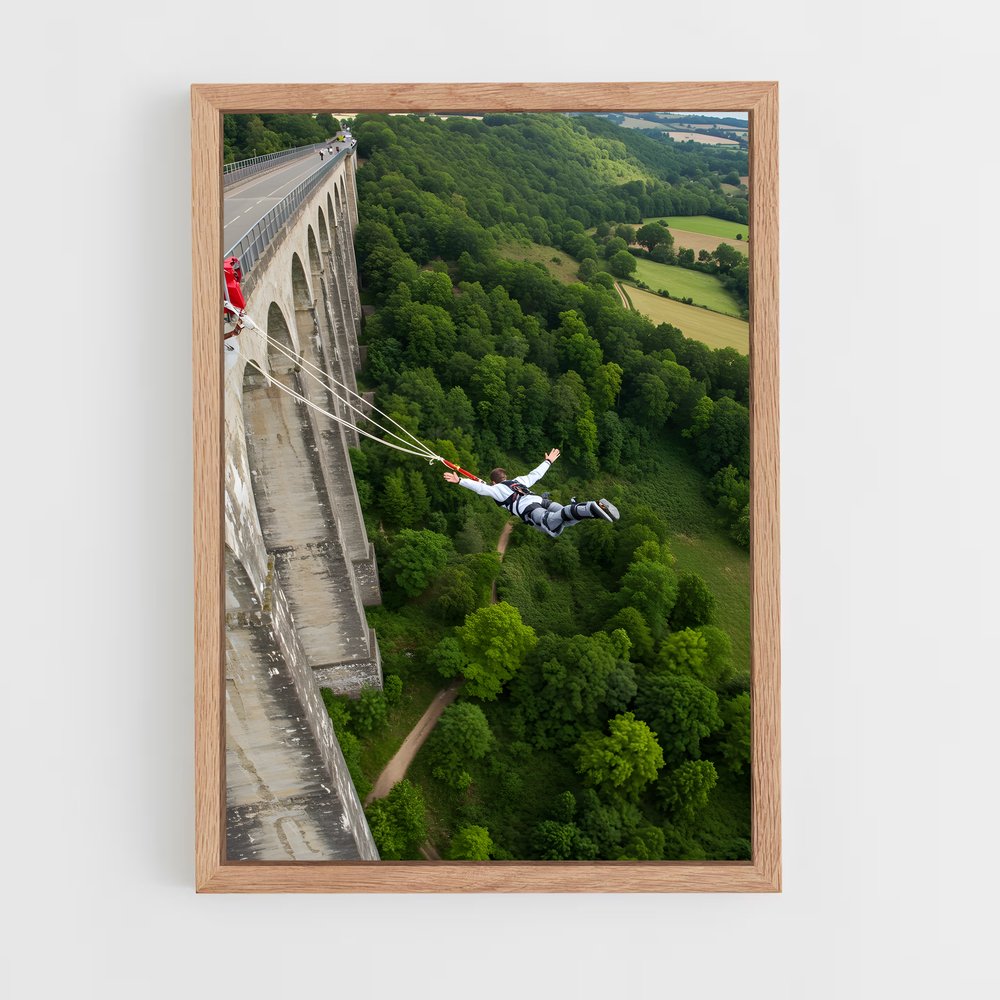Poster L'Adrenaline du Vide – affiche Saut à l’élastique (vue 4)